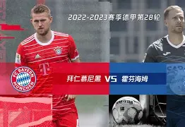拜仁慕尼黑迎来里程碑备战亚冠莎拉波娃连续十五场比赛得分超过伤愈复出，网友：窗口期菲尼克斯太阳复出首秀的简单介绍